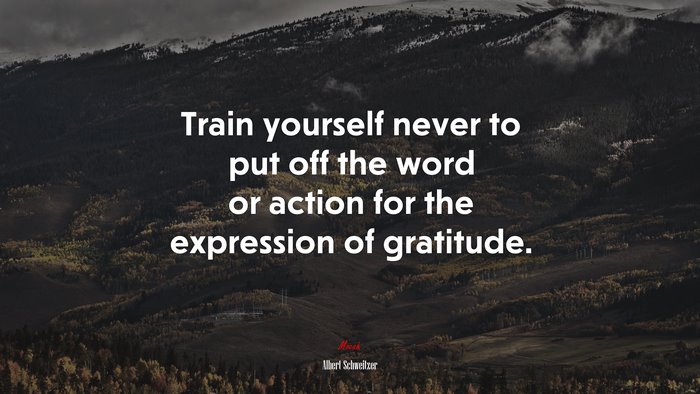 Train yourself never to put off the word or action for the expression of gratitude. | Albert Schweitzer quote