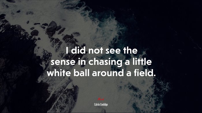I did not see the sense in chasing a little white ball around a field. | Calvin Coolidge quote