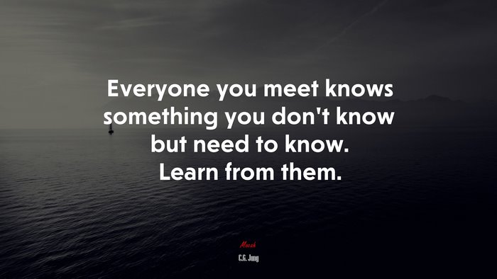 Everyone you meet knows something you don’t know but need to know. Learn from them. | C.G. Jung quote