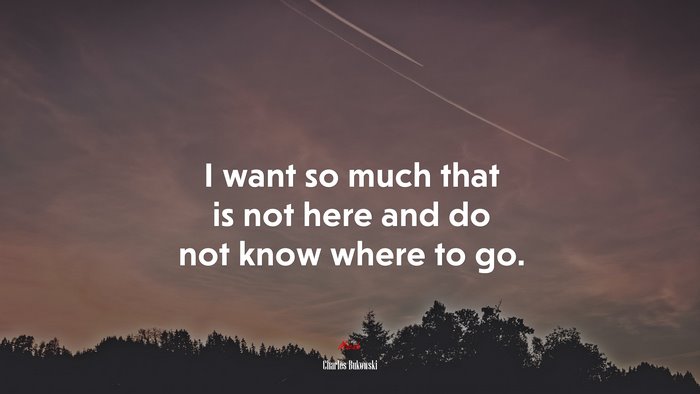 I want so much that is not here and do not know where to go. | Charles Bukowski quote