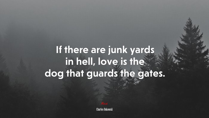 If there are junk yards in hell, love is the dog that guards the gates. | Charles Bukowski quote