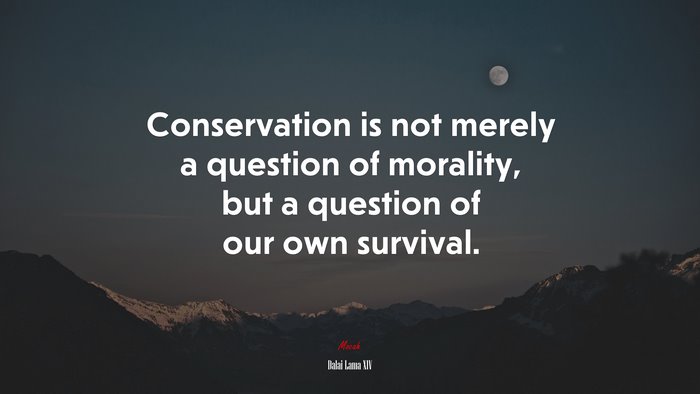 Conservation is not merely a question of morality, but a question of our own survival. | Dalai Lama XIV quote