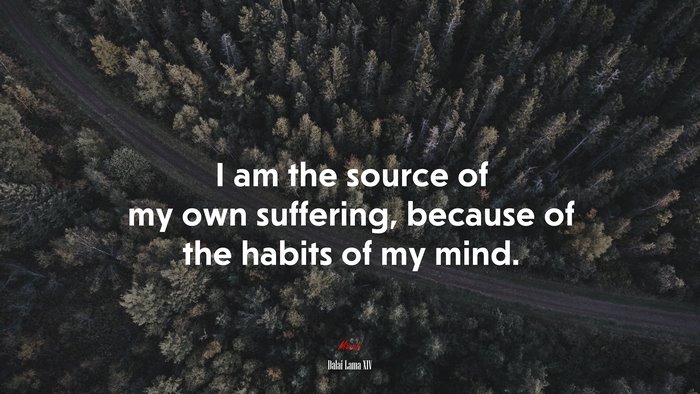 I am the source of my own suffering, because of the habits of my mind. | Dalai Lama XIV quote