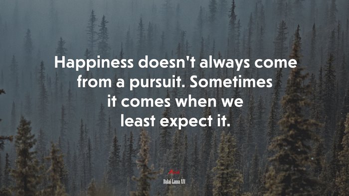 Happiness doesn’t always come from a pursuit. Sometimes it comes when we least expect it. | Dalai Lama XIV quote