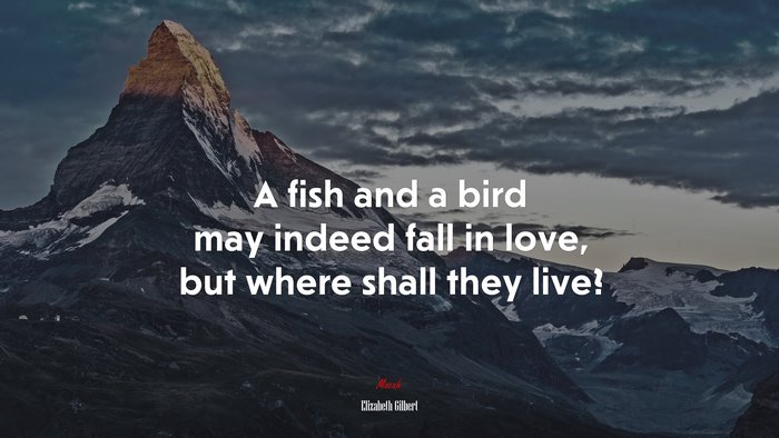 A fish and a bird may indeed fall in love, but where shall they live? | Elizabeth Gilbert quote