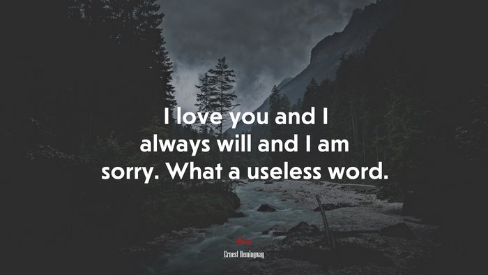 I love you and I always will and I am sorry. What a useless word. | Ernest Hemingway quote