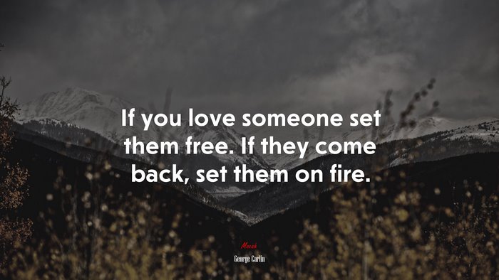 If you love someone set them free. If they come back, set them on fire. | George Carlin quote