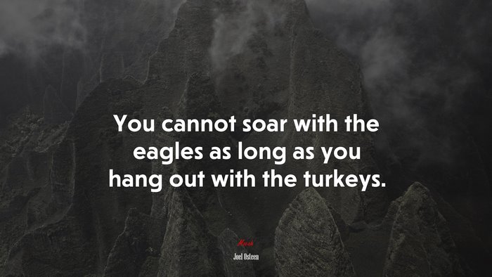 You cannot soar with the eagles as long as you hang out with the turkeys. | Joel Osteen quote