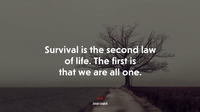 Survival is the second law of life. The first is that we are all one. | Joseph Campbell quote