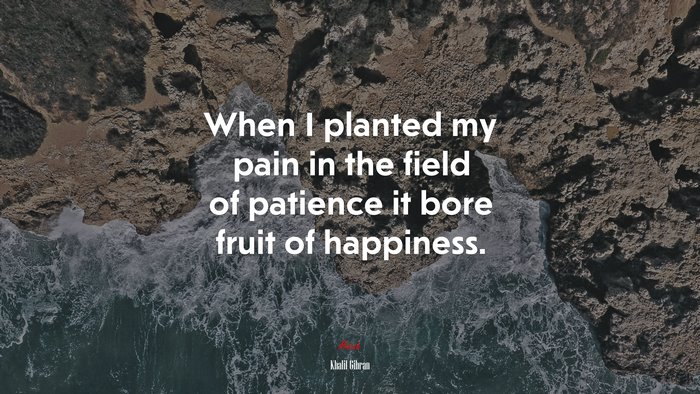 When I planted my pain in the field of patience it bore fruit of happiness. | Khalil Gibran quote
