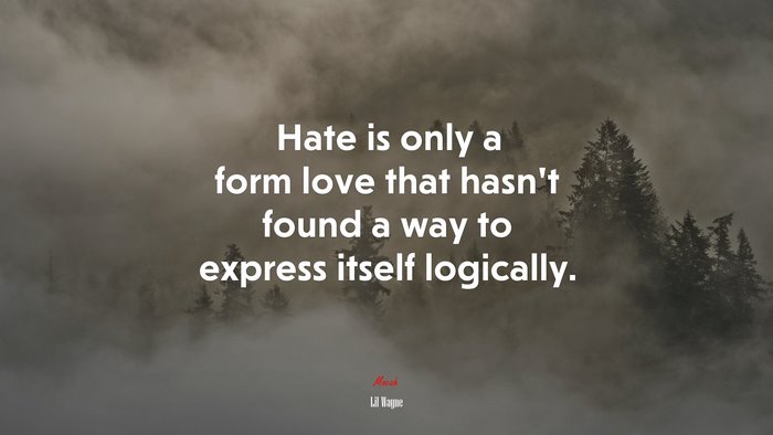 Hate is only a form love that hasn’t found a way to express itself logically. | Lil Wayne quote