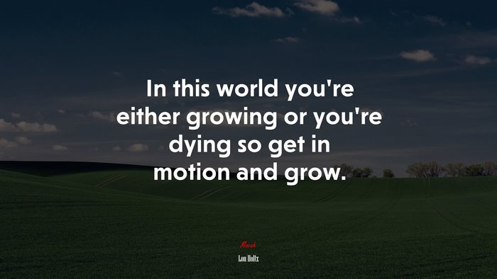 In this world you’re either growing or you’re dying so get in motion and grow. | Lou Holtz quote