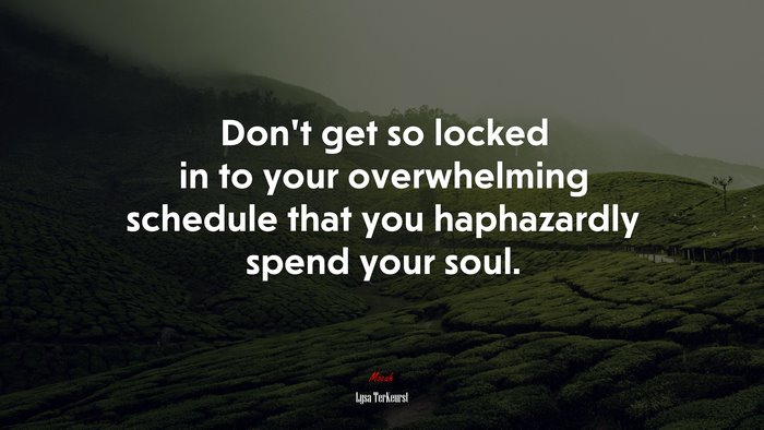 Don’t get so locked in to your overwhelming schedule that you haphazardly spend your soul. | Lysa TerKeurst quote