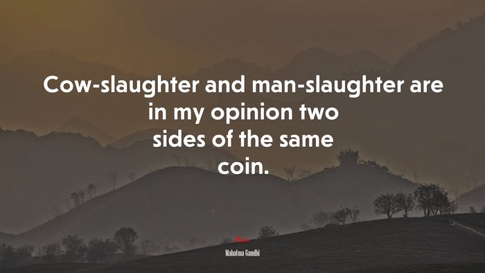 Cow-slaughter and man-slaughter are in my opinion two sides of the same coin. | Mahatma Gandhi quote