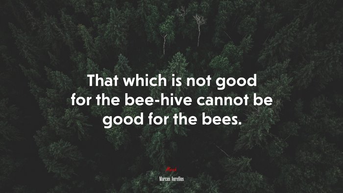That which is not good for the bee-hive cannot be good for the bees. | Marcus Aurelius quote