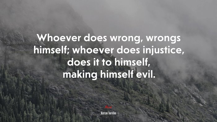 Whoever does wrong, wrongs himself; whoever does injustice, does it to himself, making himself evil. | Marcus Aurelius quote