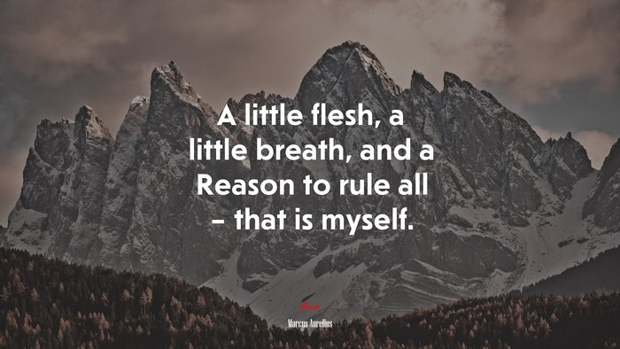 A little flesh, a little breath, and a Reason to rule all – that is myself. | Marcus Aurelius quote