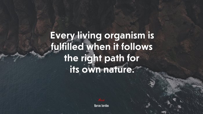 Every living organism is fulfilled when it follows the right path for its own nature. | Marcus Aurelius quote
