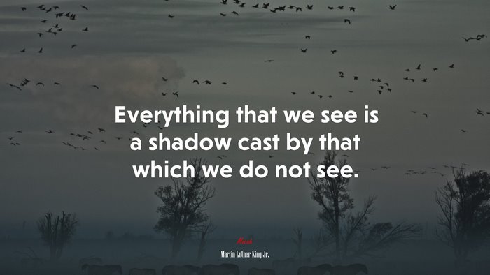 Everything that we see is a shadow cast by that which we do not see. | Martin Luther King Jr. quote