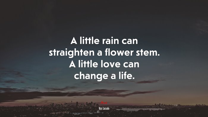 A little rain can straighten a flower stem. A little love can change a life. | Max Lucado quote