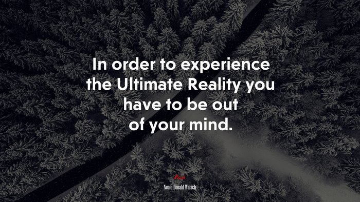 In order to experience the Ultimate Reality you have to be out of your mind. | Neale Donald Walsch quote