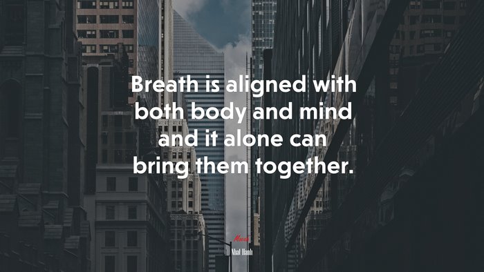Breath is aligned with both body and mind and it alone can bring them together. | Nhat Hanh quote