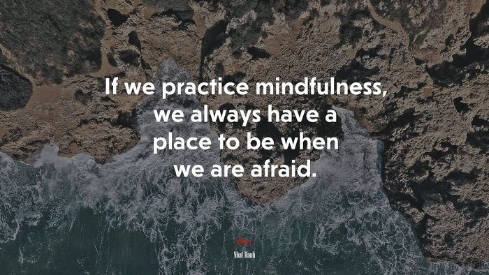 If we practice mindfulness, we always have a place to be when we are afraid. | Nhat Hanh quote