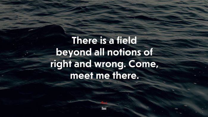 There is a field beyond all notions of right and wrong. Come, meet me there. | Rumi quote