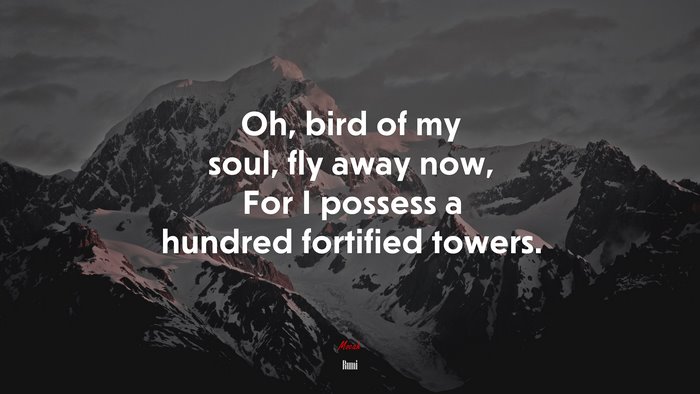 Oh, bird of my soul, fly away now, For I possess a hundred fortified towers. | Rumi quote