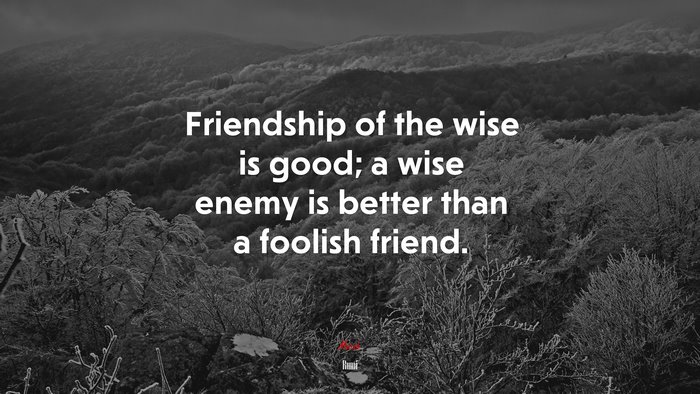 Friendship of the wise is good; a wise enemy is better than a foolish friend. | Rumi quote