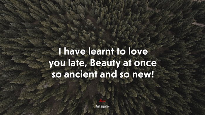 I have learnt to love you late, Beauty at once so ancient and so new! | Saint Augustine quote