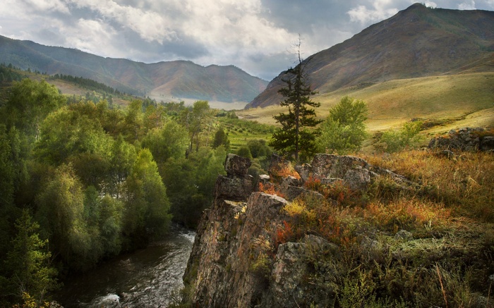 Mountain valley with river and trees