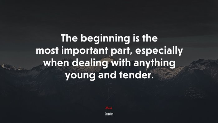 The beginning is the most important part, especially when dealing with anything young and tender. | Socrates quote