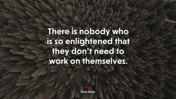 There is nobody who is so enlightened that they don’t need to work on themselves. | Terence McKenna quote