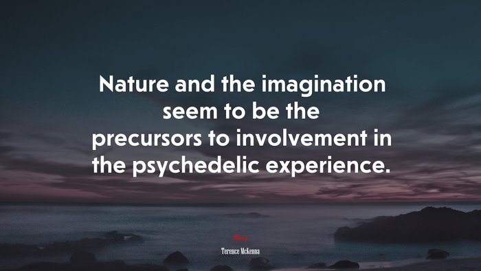 Nature and the imagination seem to be the precursors to involvement in the psychedelic experience. | Terence McKenna quote
