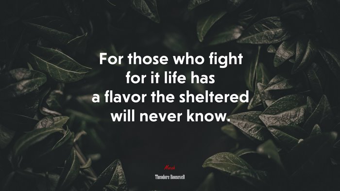 For those who fight for it life has a flavor the sheltered will never know. | Theodore Roosevelt quote
