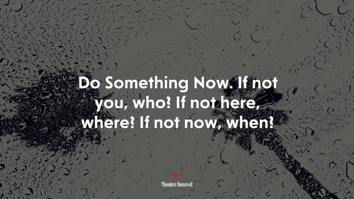 Do Something Now. If not you, who? If not here, where? If not now, when? | Theodore Roosevelt quote