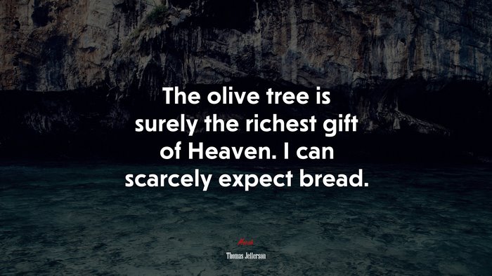 The olive tree is surely the richest gift of Heaven. I can scarcely expect bread. | Thomas Jefferson quote