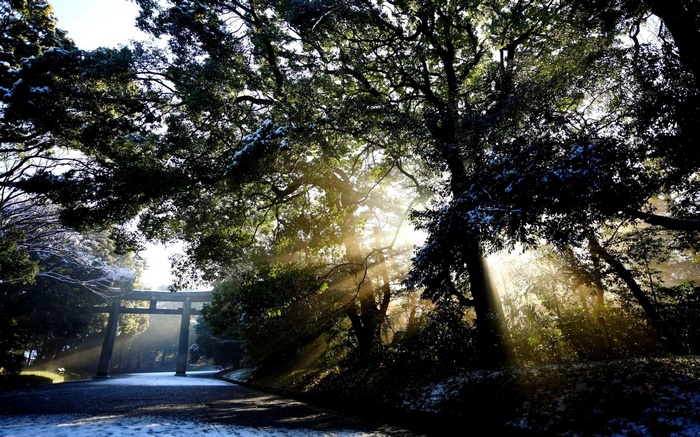 Torii gate in a forest with sunbeams and snow