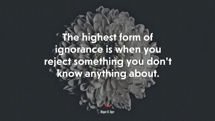 The highest form of ignorance is when you reject something you don’t know anything about. | Wayne W. Dyer quote