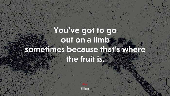 You’ve got to go out on a limb sometimes because that’s where the fruit is. | Will Rogers quote