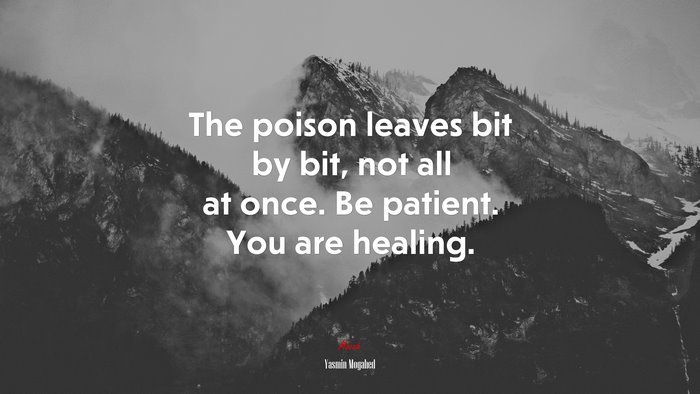 The poison leaves bit by bit, not all at once. Be patient. You are healing. | Yasmin Mogahed quote