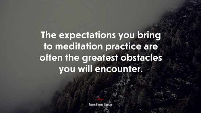 The expectations you bring to meditation practice are often the greatest obstacles you will encounter. | Yongey Mingyur Rinpoche quote