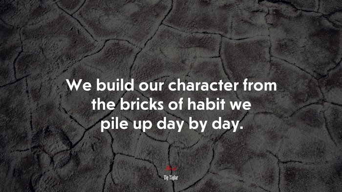 We build our character from the bricks of habit we pile up day by day. | Zig Ziglar quote