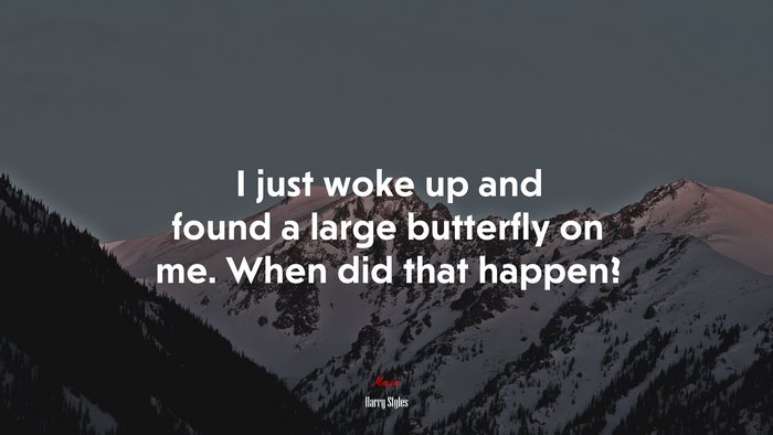 I just woke up and found a large butterfly on me. When did that happen? | Harry Styles quote