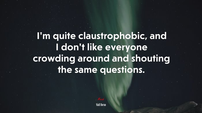 I’m quite claustrophobic, and I don’t like everyone crowding around and shouting the same questions. | Niall Horan quote