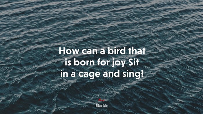 How can a bird that is born for joy Sit in a cage and sing? | William Blake quote