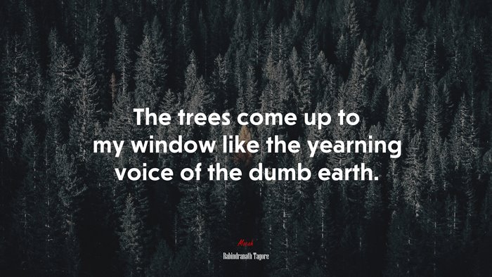 The trees come up to my window like the yearning voice of the dumb earth. | Rabindranath Tagore quote