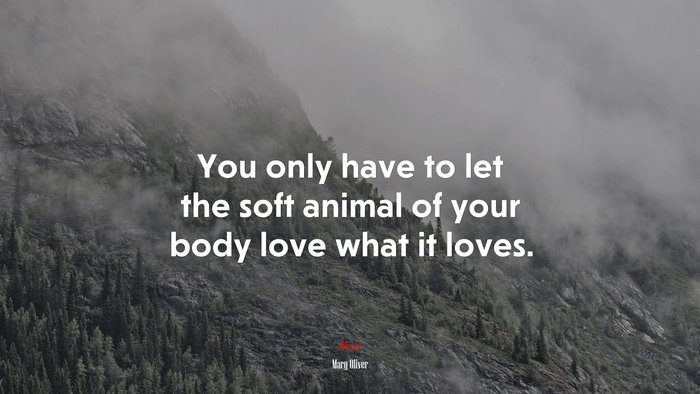 You only have to let the soft animal of your body love what it loves. | Mary Oliver quote
