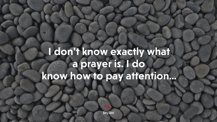 I don’t know exactly what a prayer is. I do know how to pay attention... | Mary Oliver quote